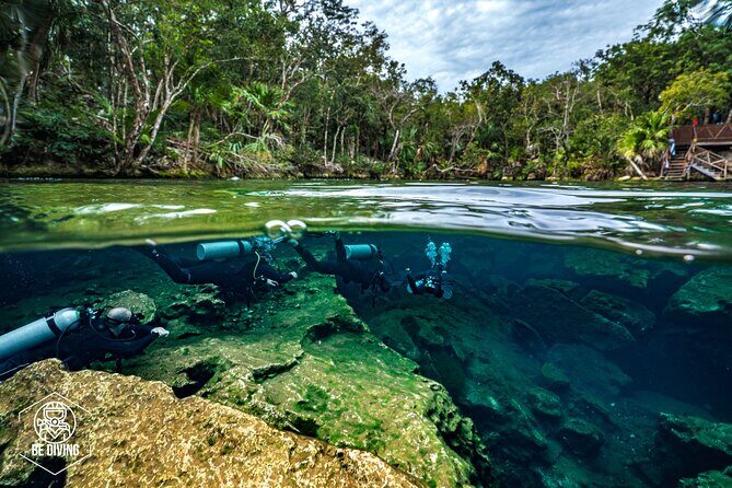 Scuba Diving in Cenotes - Authentic Experiences from Reviews