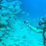 Scuba Diving with a 5-Star PADI Center in Puerto Vallarta - Who This Tour Is Perfect For