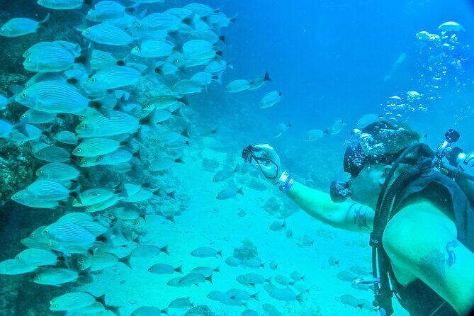 Scuba Diving with a 5-Star PADI Center in Puerto Vallarta - Who This Tour Is Perfect For
