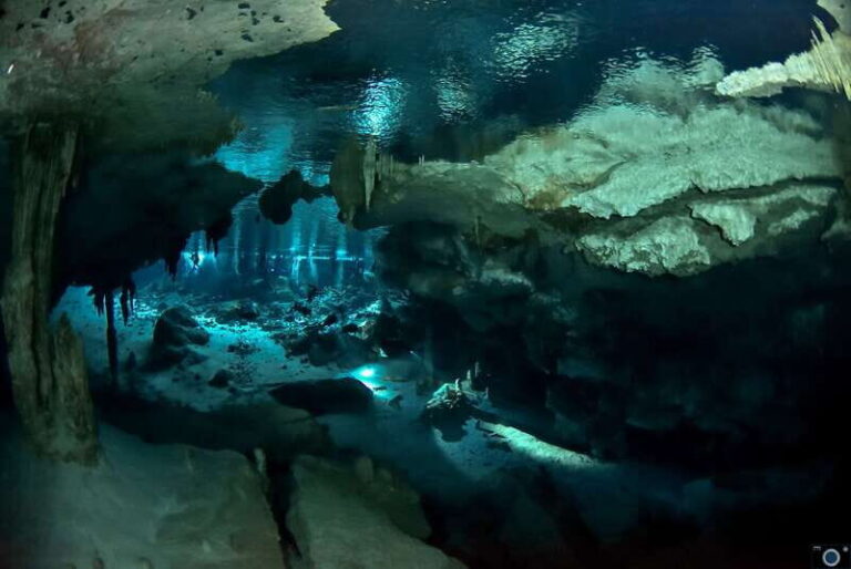 Scuba in 2 cenotes in a half-day - Who Should Consider This Tour?