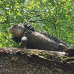 Sea excursion - The Two Half-Day Packages: Flexibility and Options