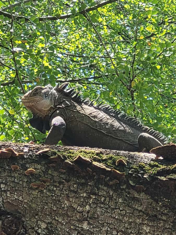 Sea excursion - The Two Half-Day Packages: Flexibility and Options