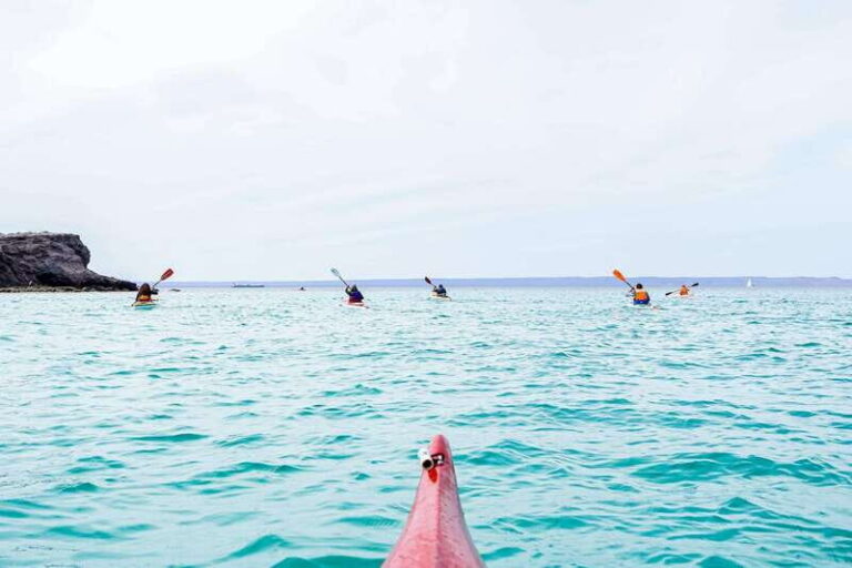 Sea Kayak Tour - Marine Safari - Practicalities and Tips for Travelers