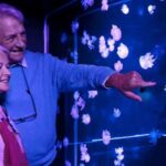 SEA LIFE Aquarium San Antonio - A Closer Look at the Aquarium Experience