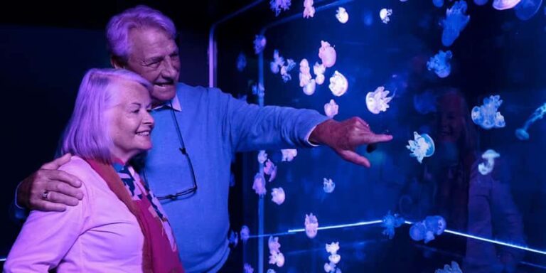 SEA LIFE Aquarium San Antonio - A Closer Look at the Aquarium Experience