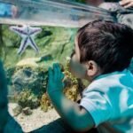 Sea Life Charlotte Concord Aquarium Admission Ticket - Detailed Breakdown of the Itinerary