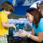 SEA LIFE Kansas City Aquarium Admission Ticket - Size, Duration, and Practical Tips