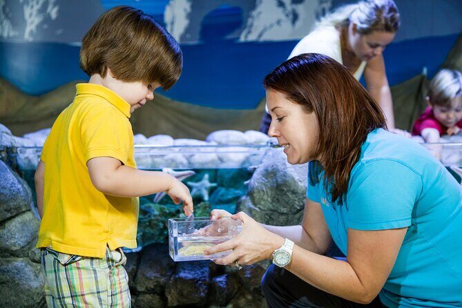 SEA LIFE Kansas City Aquarium Admission Ticket - Size, Duration, and Practical Tips