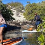 Sea Lions & Mega-Paddleboard Tour in Balandra - Discovering Balandra’s Hidden Corners on a Paddleboard