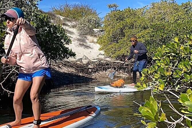 Sea Lions & Mega-Paddleboard Tour in Balandra - Discovering Balandra’s Hidden Corners on a Paddleboard