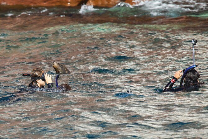 Sea Lions & Mega-Paddleboard Tour in Espiritu Santo - Authentic Experiences and Authenticity