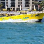 Sea Screamer Clearwater's Only Speed Boat Dolphin Watching - Key Points