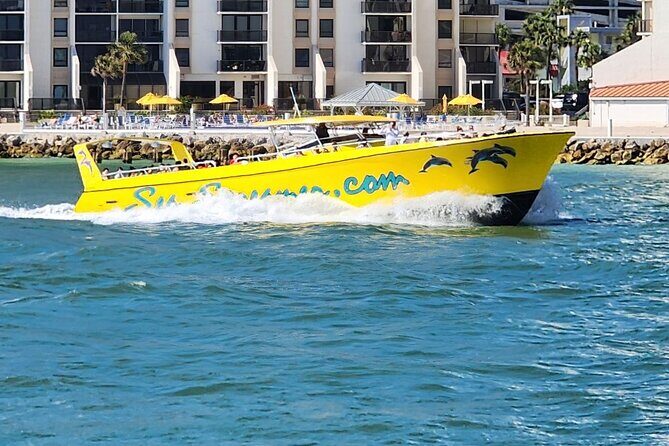 Sea Screamer Clearwater's Only Speed Boat Dolphin Watching - Key Points