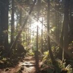 Sea to Sky Discovery Tour - Guides and Educational Content