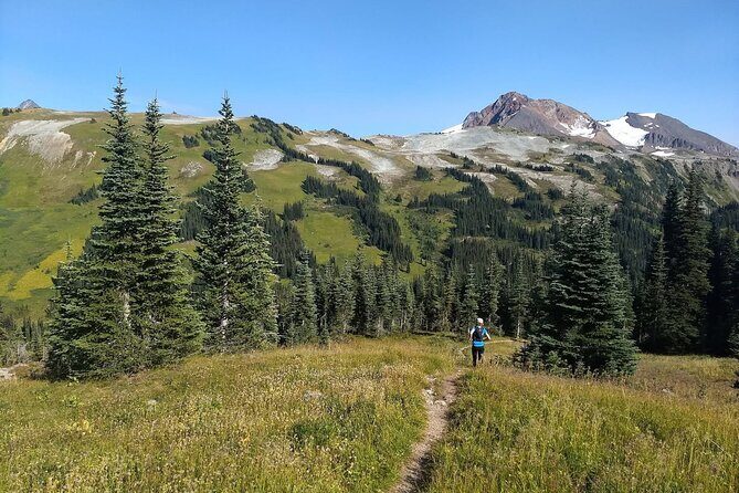 Sea to Sky Hiking Adventure - Who Will Love This Tour?