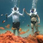 Sea Trek Adventure at Chankanaab National Park - Who Is This Tour Best For?