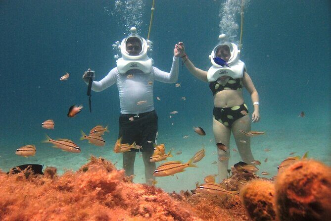 Sea Trek Adventure at Chankanaab National Park - Who Is This Tour Best For?