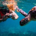 Sea turtle and cenotes half day Snorkeling Tour from Riviera Maya - The Guides and Transportation