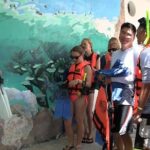 Sea Turtle Snorkeling Ecofriendly Tour from Cancun & Riviera Maya - The Experience in Detail: Whats in It for You