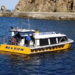 Sea View Glass Bottom Boat Excursion - Authentic Passenger Perspectives