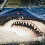 Seabreacher Ride in Cancun - The Booking and Timing