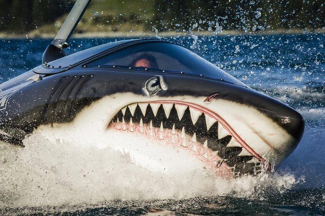 Seabreacher Ride in Cancun - The Booking and Timing