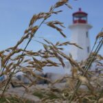 Seascape Excursions of Nova Scotia - What Makes This Tour Stand Out?