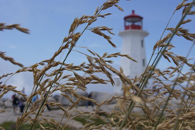 Seascape Excursions of Nova Scotia - What Makes This Tour Stand Out?