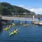 Seattle: Alki Lighthouse Sea Kayak Tour - What to Expect on the Tour