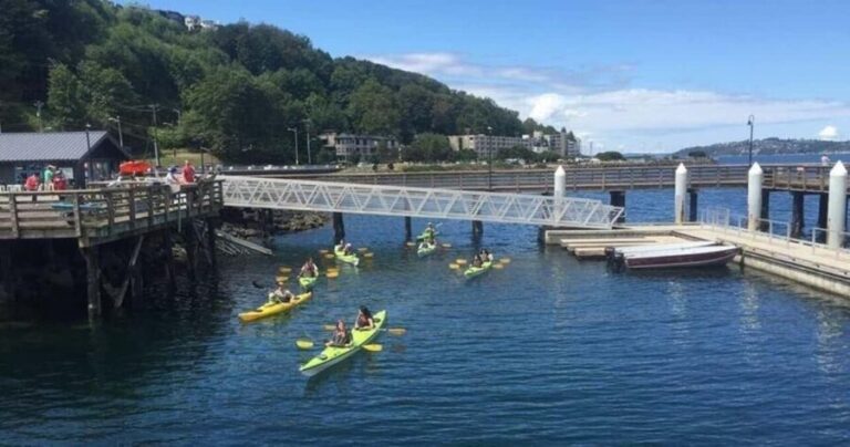 Seattle: Alki Lighthouse Sea Kayak Tour - What to Expect on the Tour