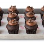 Seattle: Chocolate Tour with Tastings - The Itinerary in Detail