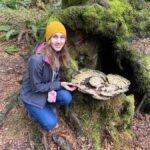 Seattle: Rainforest and Olympic National Park Highlights - What’s the Value?