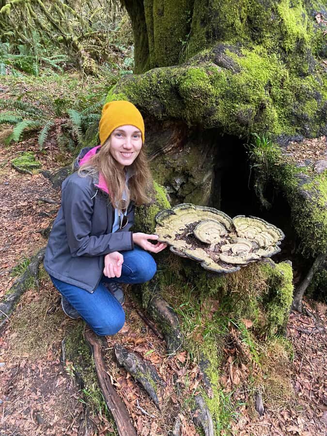 Seattle: Rainforest and Olympic National Park Highlights - What’s the Value?