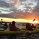 Seattle: West Seattle Sunset Sea Kayak Tour - Included and Excluded