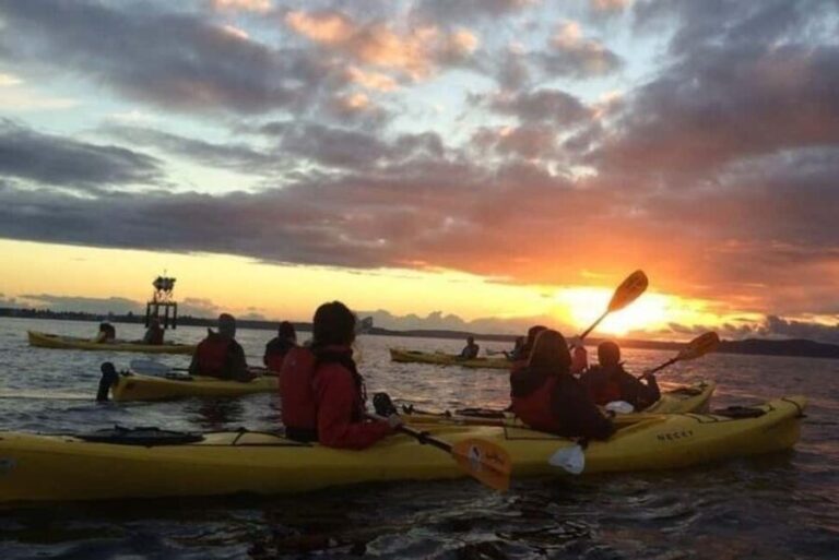 Seattle: West Seattle Sunset Sea Kayak Tour - Included and Excluded