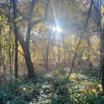 Sedona: E-Bike Sunset Tour to 7 Sacred Pools and Stupa - Detailed Breakdown of the Tour