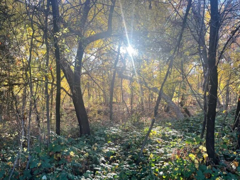 Sedona: E-Bike Sunset Tour to 7 Sacred Pools and Stupa - Detailed Breakdown of the Tour