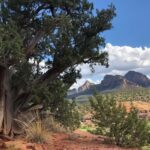 Sedona: Guided Vortex Jeep Tour - The Itinerary: What You’ll See and Experience