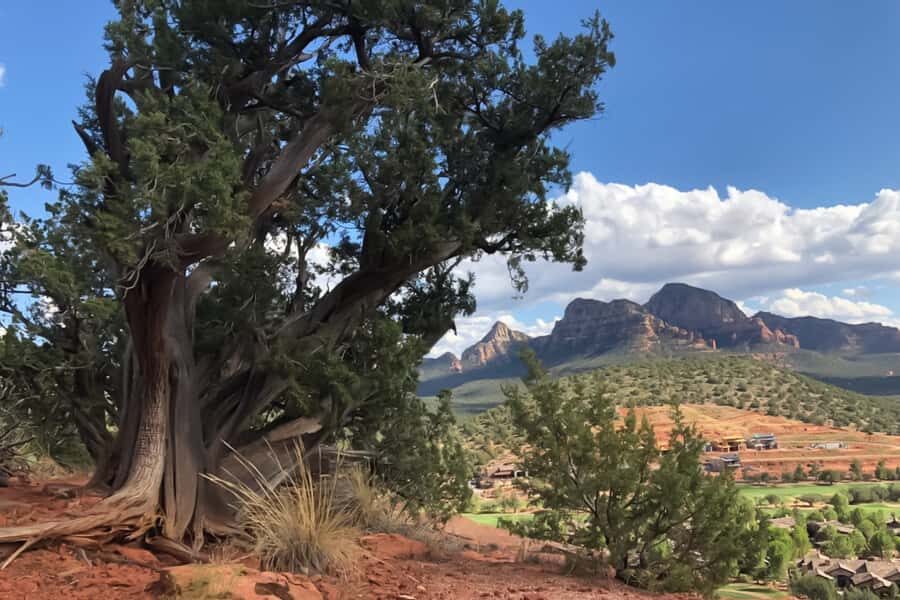 Sedona: Guided Vortex Jeep Tour - The Itinerary: What You’ll See and Experience