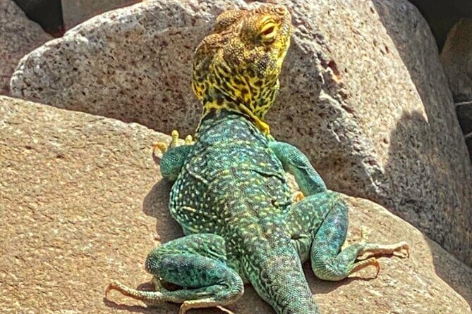 Sedona Sneak-a-Peak Hike With a Private Guide - Why Choose the Sedona Sneak-a-Peak Hike?