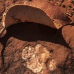 Sedona: Vortex Yoga Hiking Half-Day - Who Will Love This Experience?