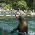 See 30 Top New York Sights (Walking Tour) & Visit Central Park Zoo. - Who Will Benefit Most?