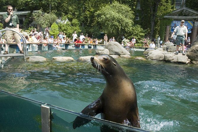 See 30 Top New York Sights (Walking Tour) & Visit Central Park Zoo. - Who Will Benefit Most?