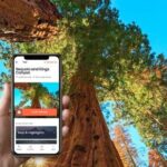 Self-Guided Audio Driving Tour in Sequoia and Kings Canyon - What Travelers Are Saying