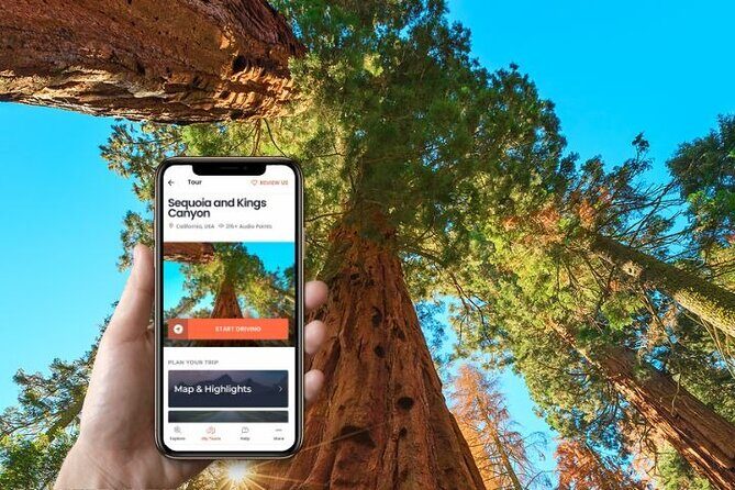 Self-Guided Audio Driving Tour in Sequoia and Kings Canyon - What Travelers Are Saying