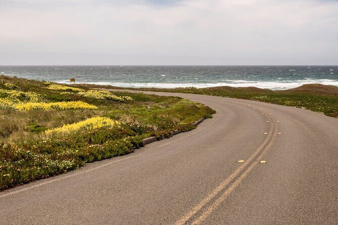 Self-Guided Audio Driving Tour of Point Reyes National Seashore - What Does the Experience Offer?