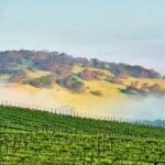 Self-Guided Audio Driving Tour of Sonoma and Napa Valley - Who Will Love This Tour?