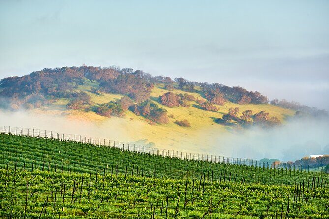 Self-Guided Audio Driving Tour of Sonoma and Napa Valley - Who Will Love This Tour?