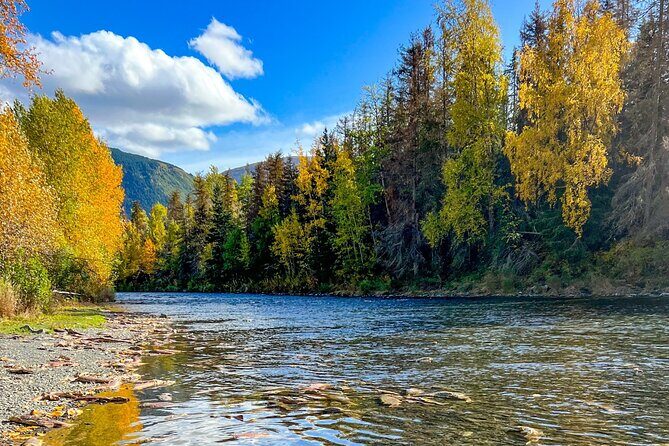 Self Guided Driving Audio Tour Anchorage to Homer Roundtrip - Who Will Love This Tour?