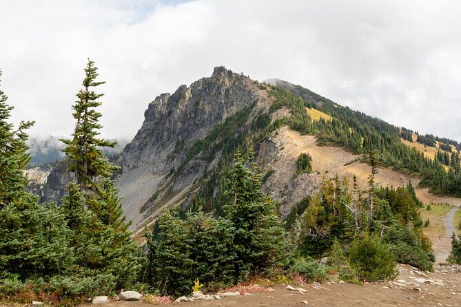 Self Guided Driving Audio Tour of Mount Rainier National Park - What Makes This Tour Special?